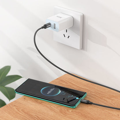 Radiance 60W charging data cable for Type-C (3M ) 10Feet